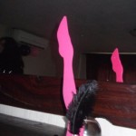 DSCF3994 DSCF3994